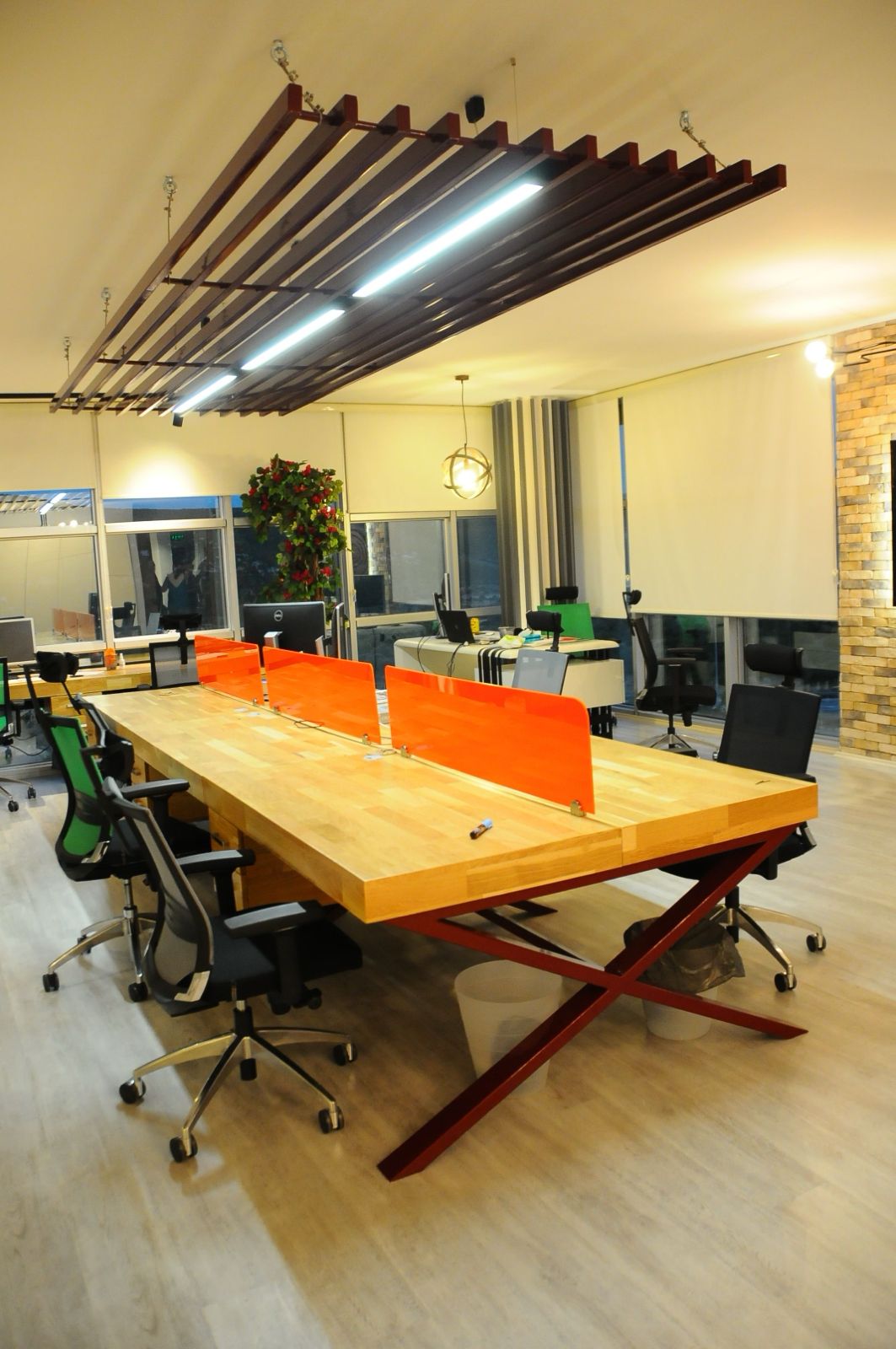 Linovi office — open workspace with branding wall